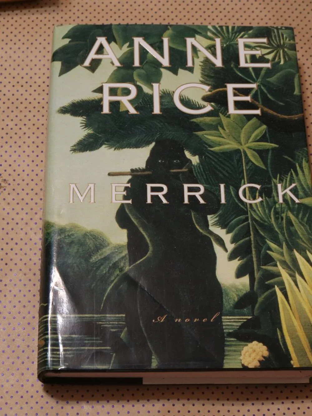 Anne Rice Merrick Book